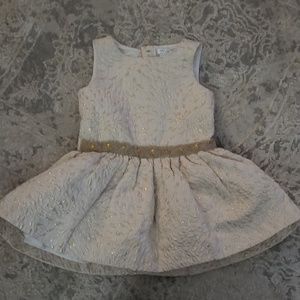 Max Studio toddler dress